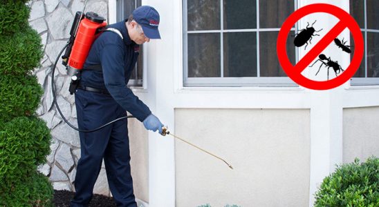 Günyüzü Gümüşkurt İlaçlama böcek ilaçlama ve haşere kontrolü — ilaclama-tr.com